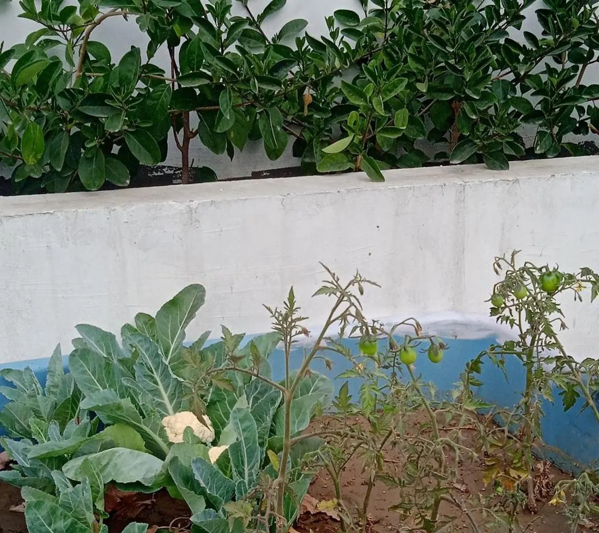 Yogam Homestay Agra Agra
