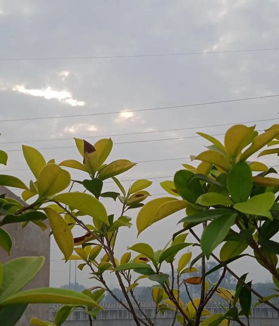 Yogam Homestay Agra Agra  India