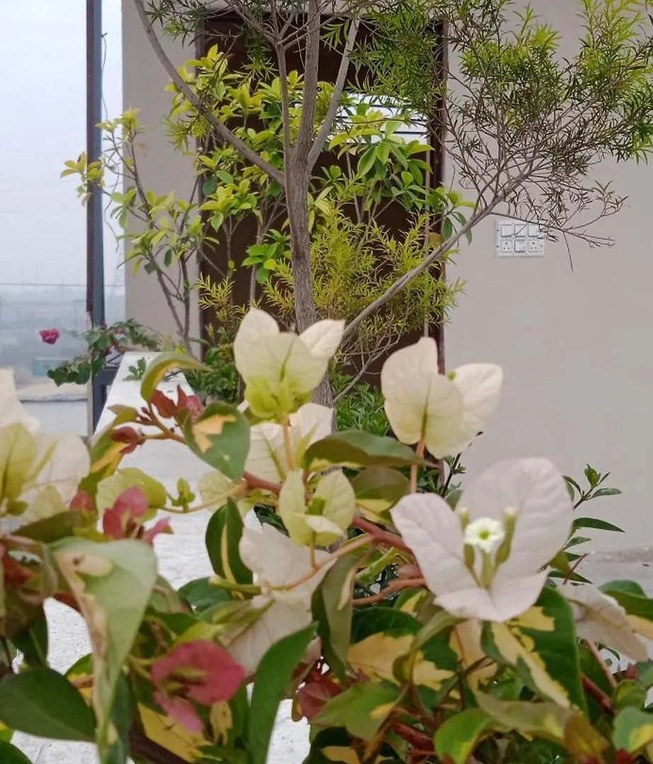 Yogam Homestay Agra Agra   Agra (Uttar Pradesh)